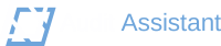 Audit Assistant